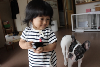 toylover7.jpg
