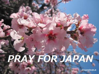 PrayforJapan_Lisaky01