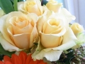 flower gift