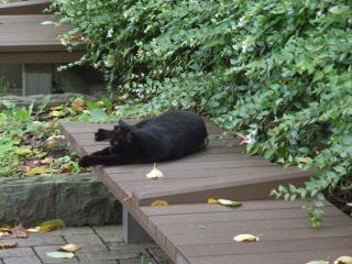 RIMG0016_convert_20110925013429.jpg