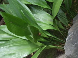 RIMG0030_convert_20110927213506.jpg