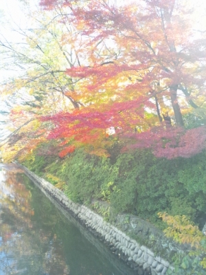 20131126224526d44.jpg