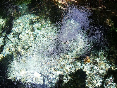 230825_9.jpg