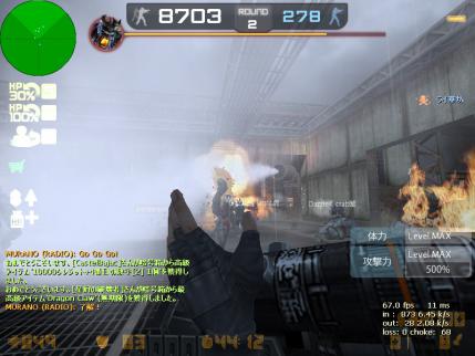 zs_decoy_20120425_2140540.jpg