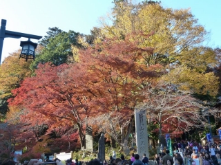 P1050287.jpg
