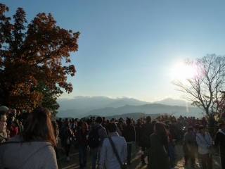 P1050291.jpg