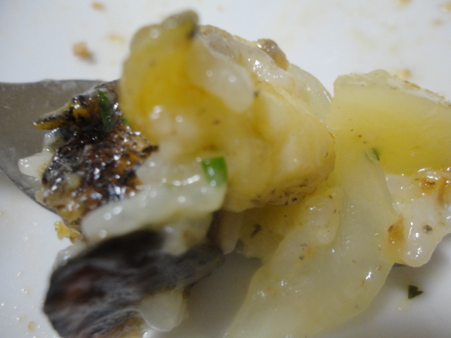 DSC01348.jpg