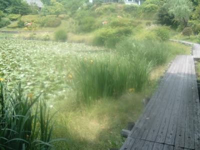 DSCF1380.jpg