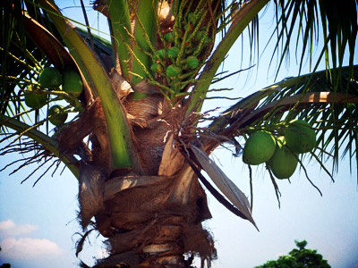 DSCF5683.jpg