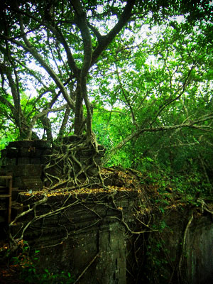 DSCF6065.jpg