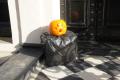 DSC09026.jpg