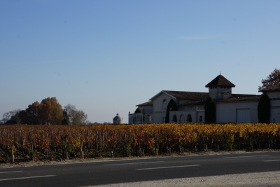 DSC09705.jpg
