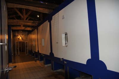 DSC09855.jpg