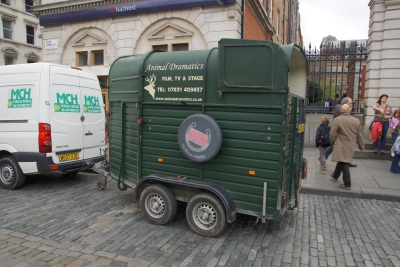 DSC09903.jpg