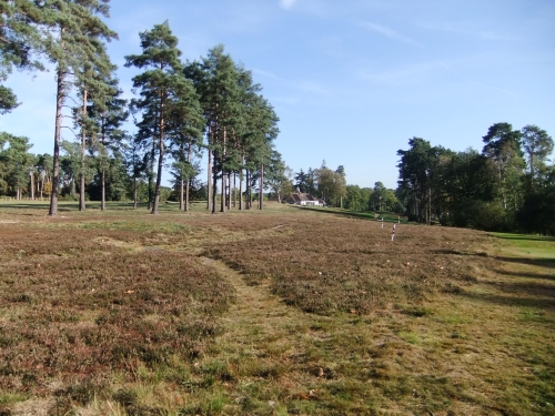 DSCF9048.jpg