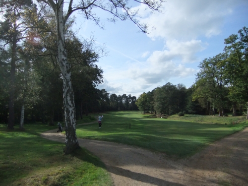 DSCF9051.jpg