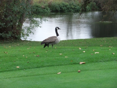 DSCF9318.jpg