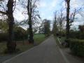 DSCF9341.jpg