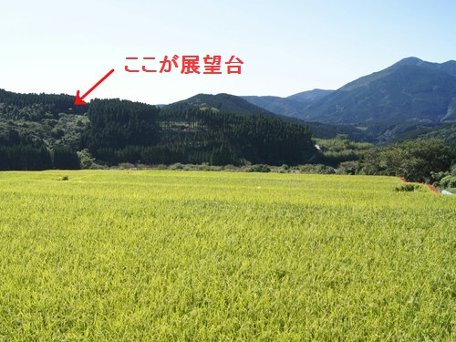 230923 坂元の棚田7