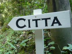 CITTA看板
