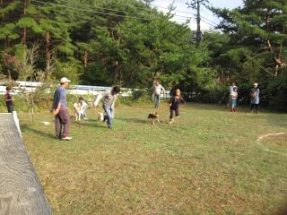 033_convert_20111010032609.jpg