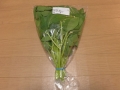 20131217d.jpg