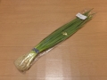 20131217o.jpg