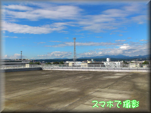 会社の屋上から
