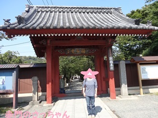 DSC02130.jpg