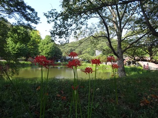 DSC02202.jpg