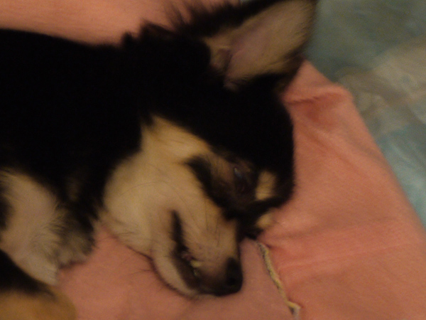 P1170447-1.jpg