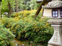 20120501-2.jpg