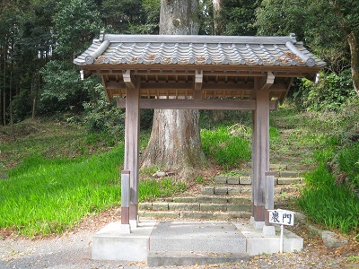 205.jpg
