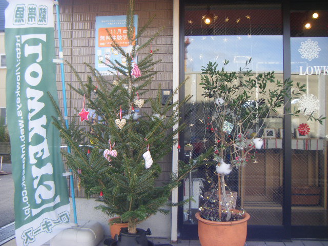 DSCF5341.jpg