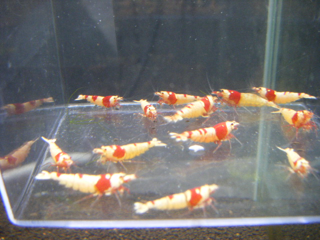 DSCF5412.jpg