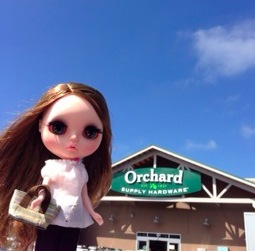 1_20130626172252.jpg