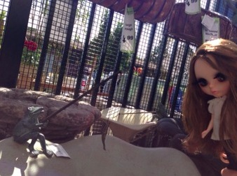 5_20130626173057.jpg