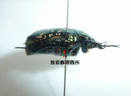 リュウツヤ修理後
