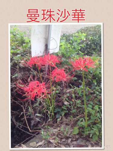 20140918140407e02.jpg