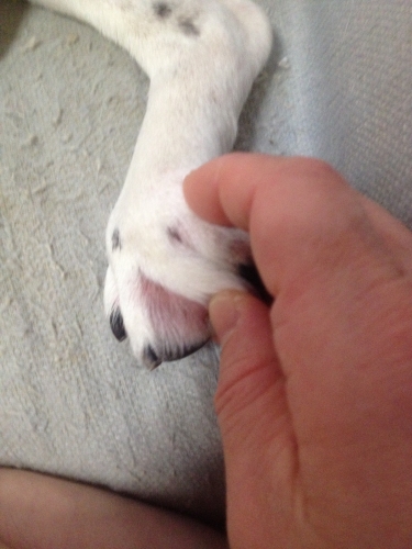 20140927213610c0f.jpg