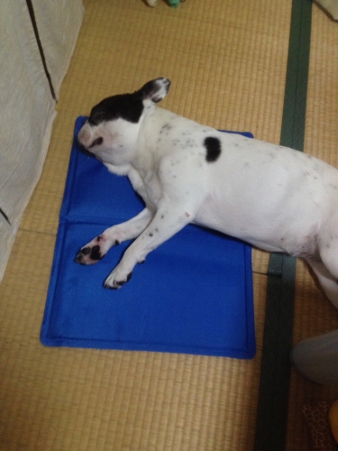 201409272136161ab.jpg