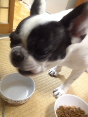20140927213821372.jpg