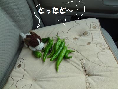 DSC02320a.jpg