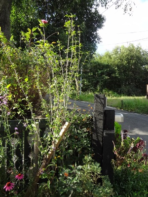 DSC02517a.jpg