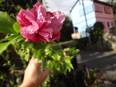 DSC02519a.jpg