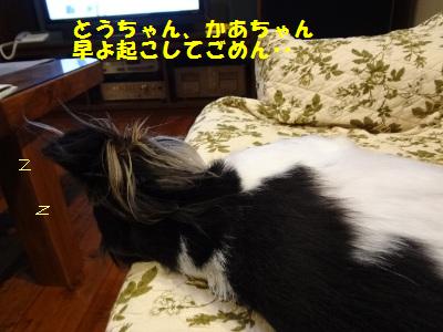 DSC02701a.jpg