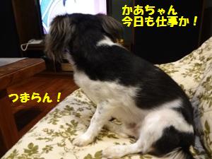 DSC02705a.jpg