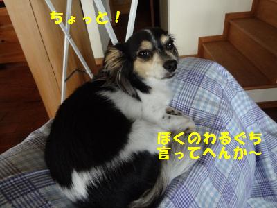 DSC02712a.jpg