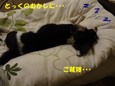 DSC02719a.jpg
