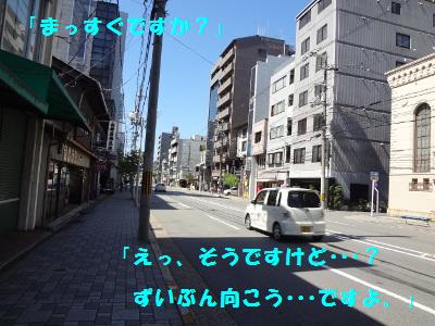 DSC02845a.jpg